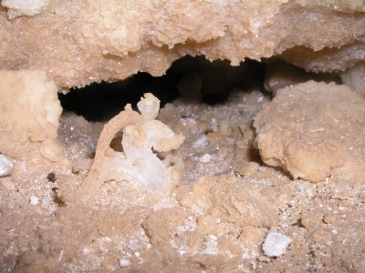Small Gypsum Flower