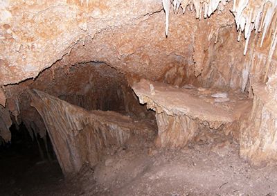 Rare Shileds in Corkscrew Cave