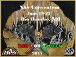 June 19-23, 2017 - NSS Convention @ Rio Rancho, New Mexico